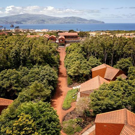 Alma Do Pico - Nature Residence Madalena  Exterior photo