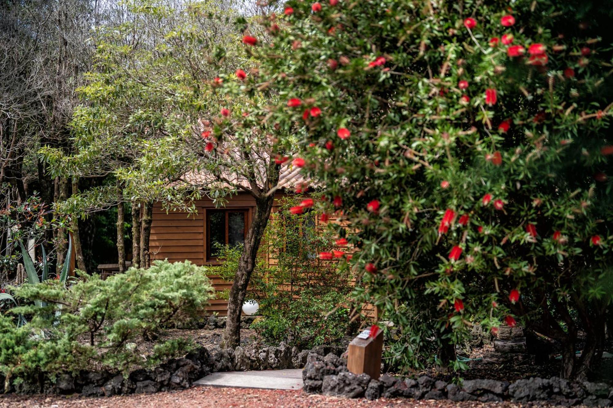 Alma Do Pico - Nature Residence Madalena  Exterior photo