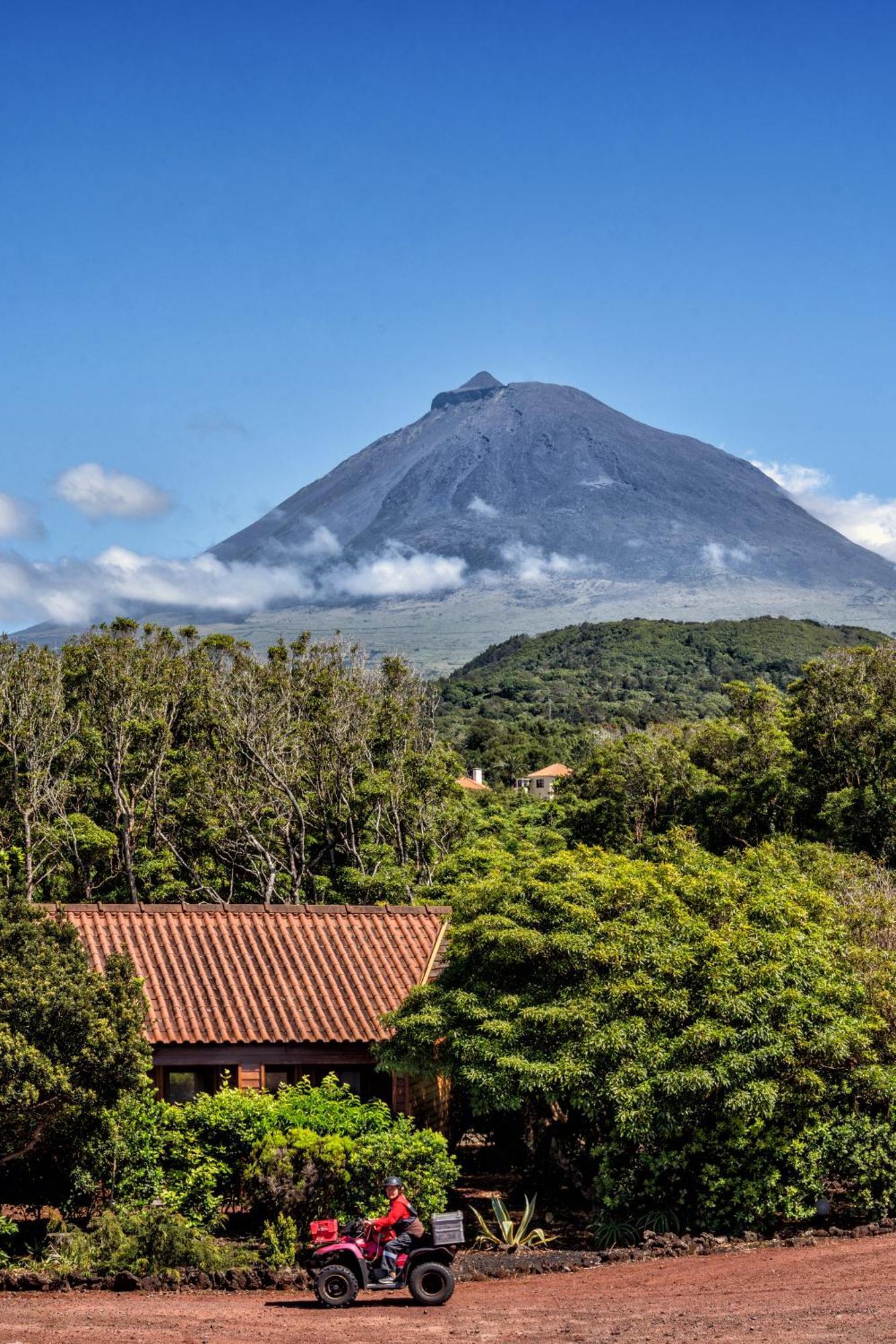 Alma Do Pico - Nature Residence Madalena  Exterior photo