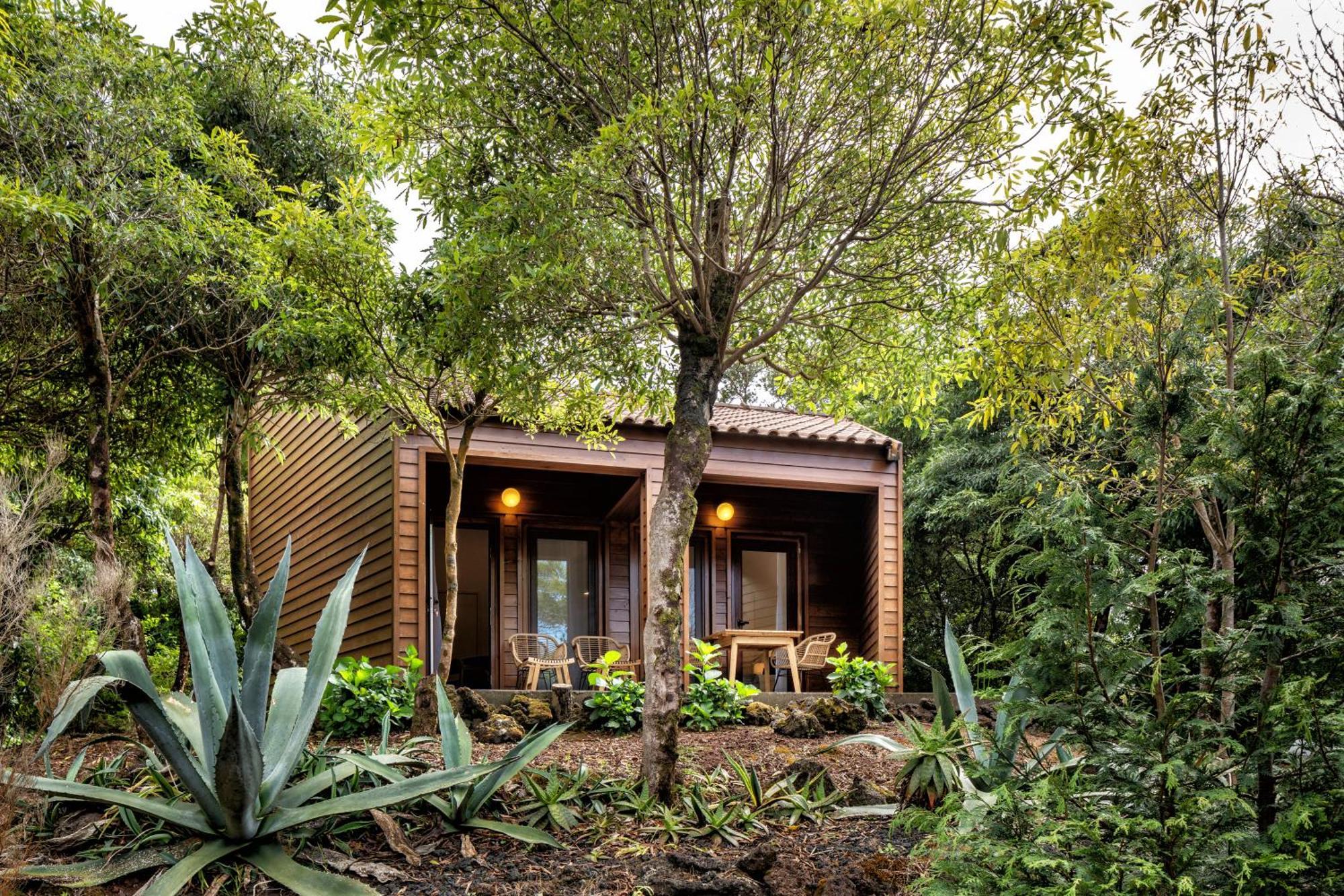 Alma Do Pico - Nature Residence Madalena  Exterior photo