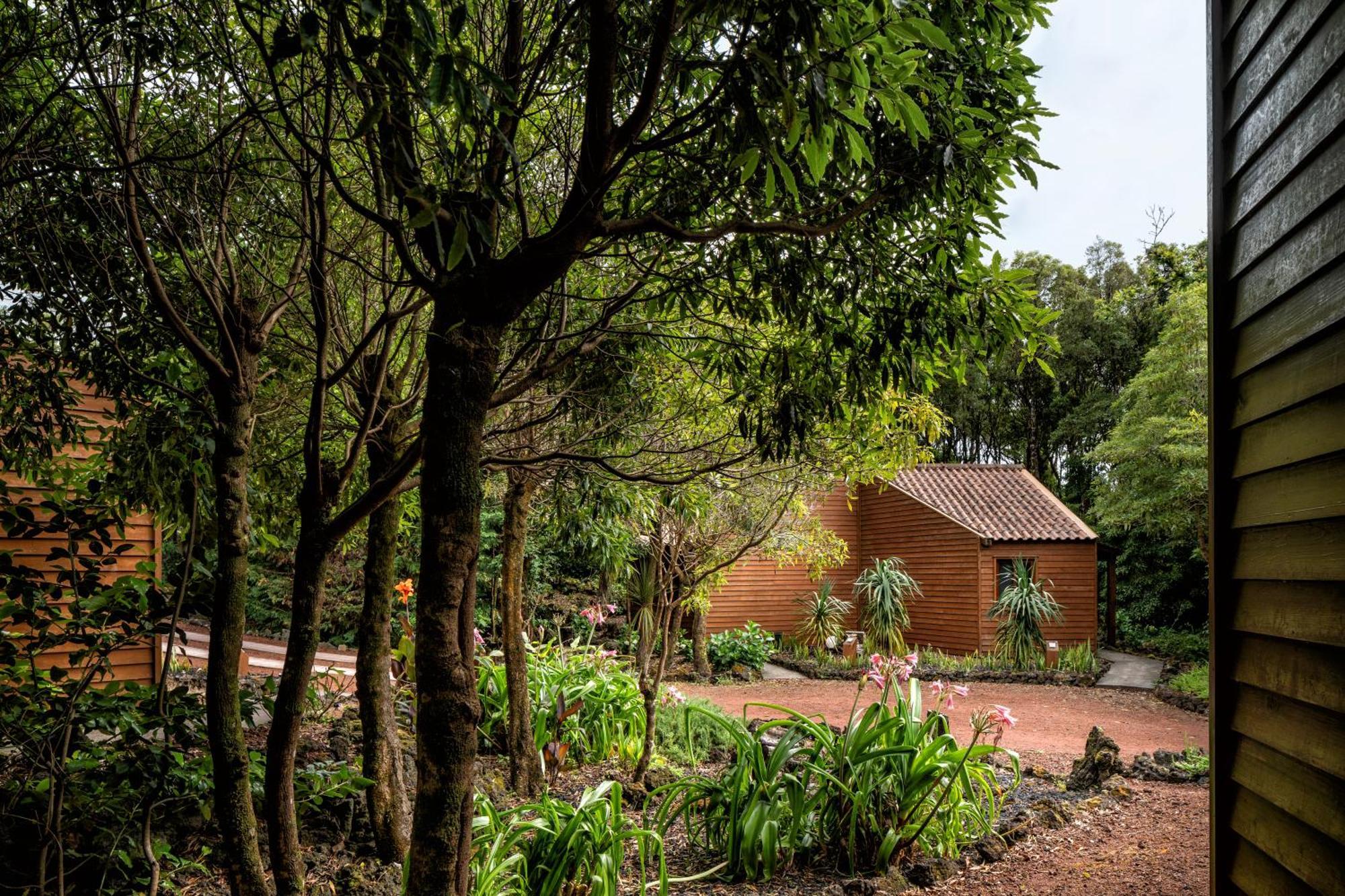Alma Do Pico - Nature Residence Madalena  Exterior photo