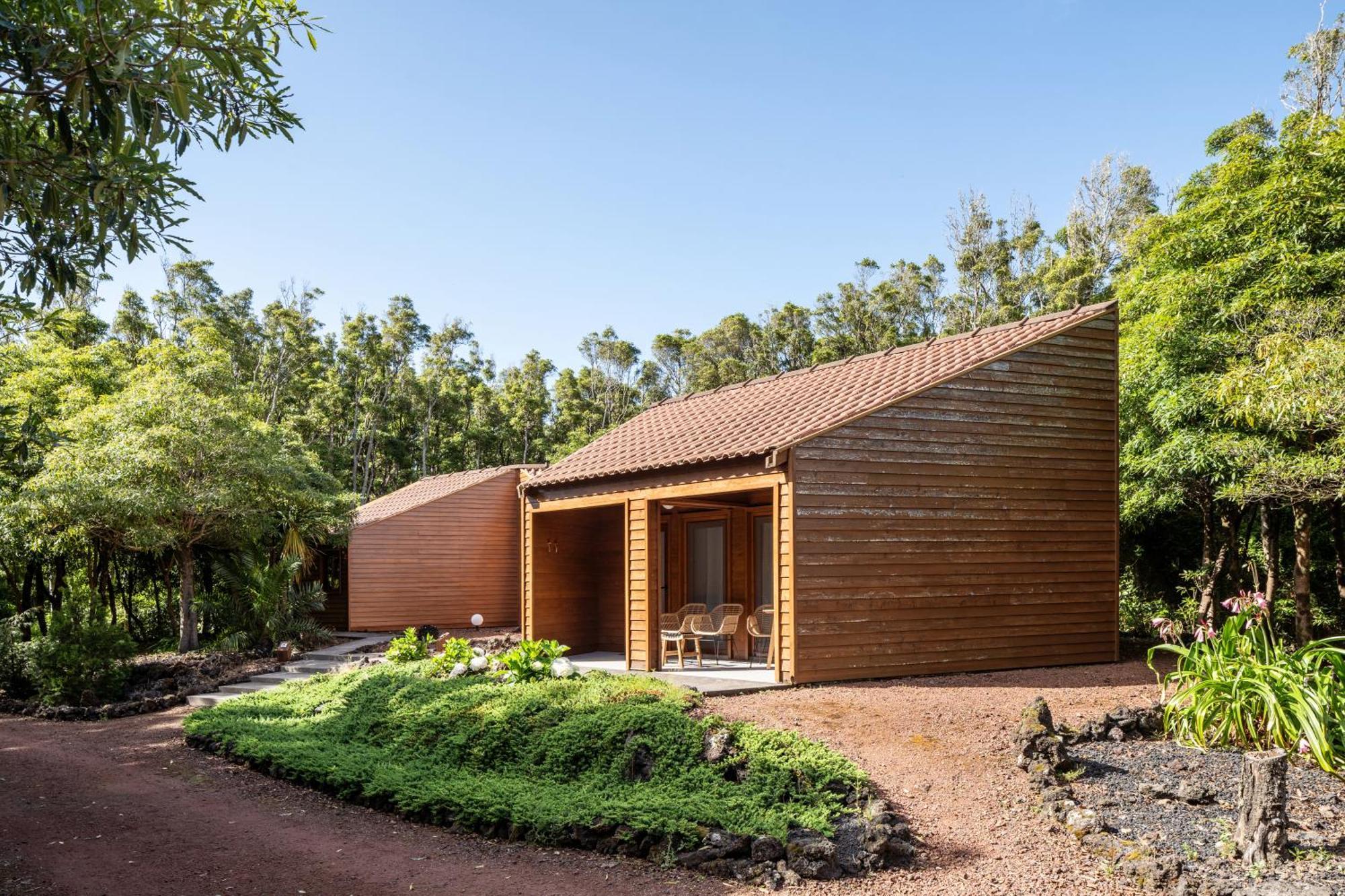 Alma Do Pico - Nature Residence Madalena  Exterior photo