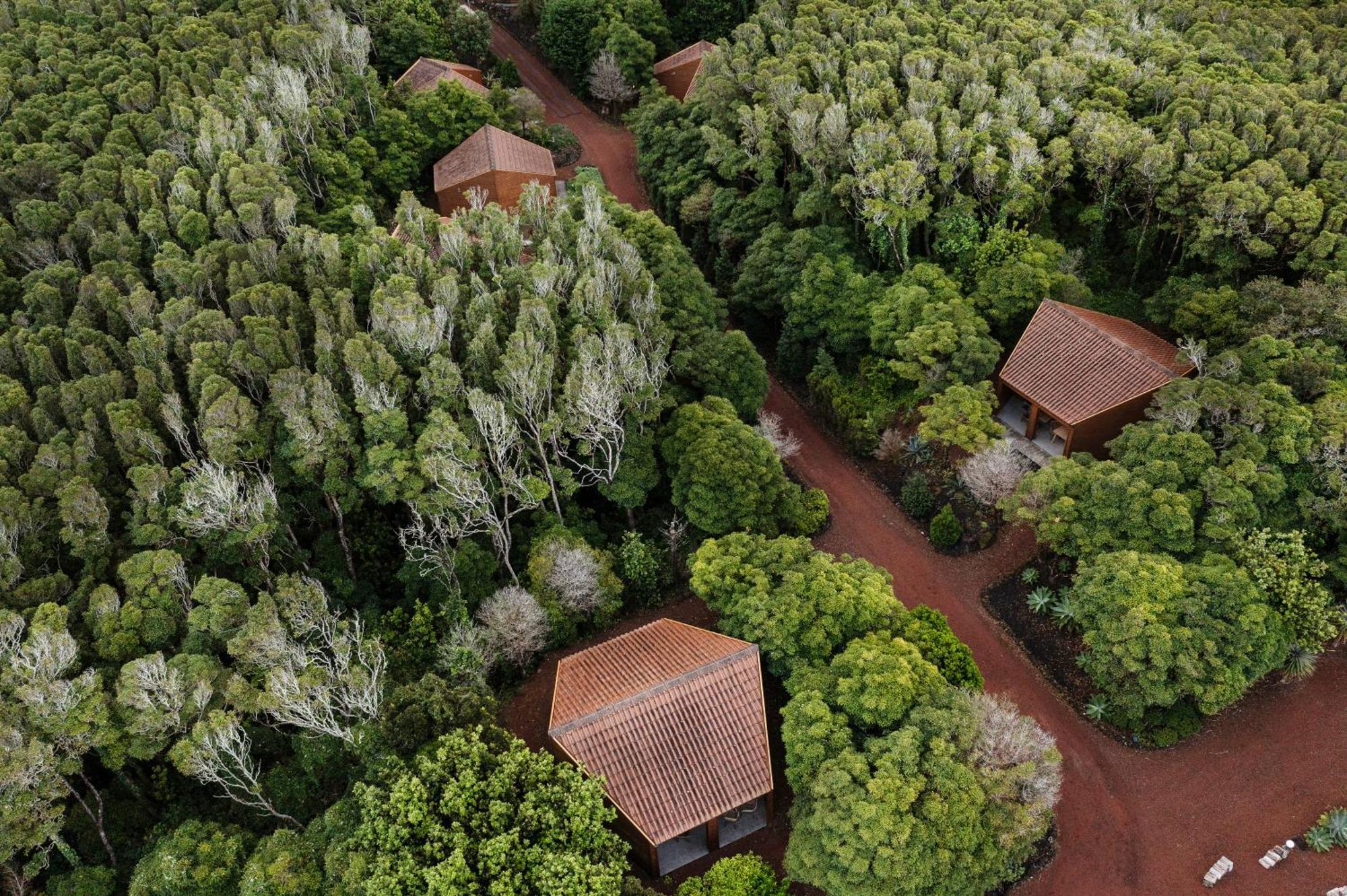 Alma Do Pico - Nature Residence Madalena  Exterior photo