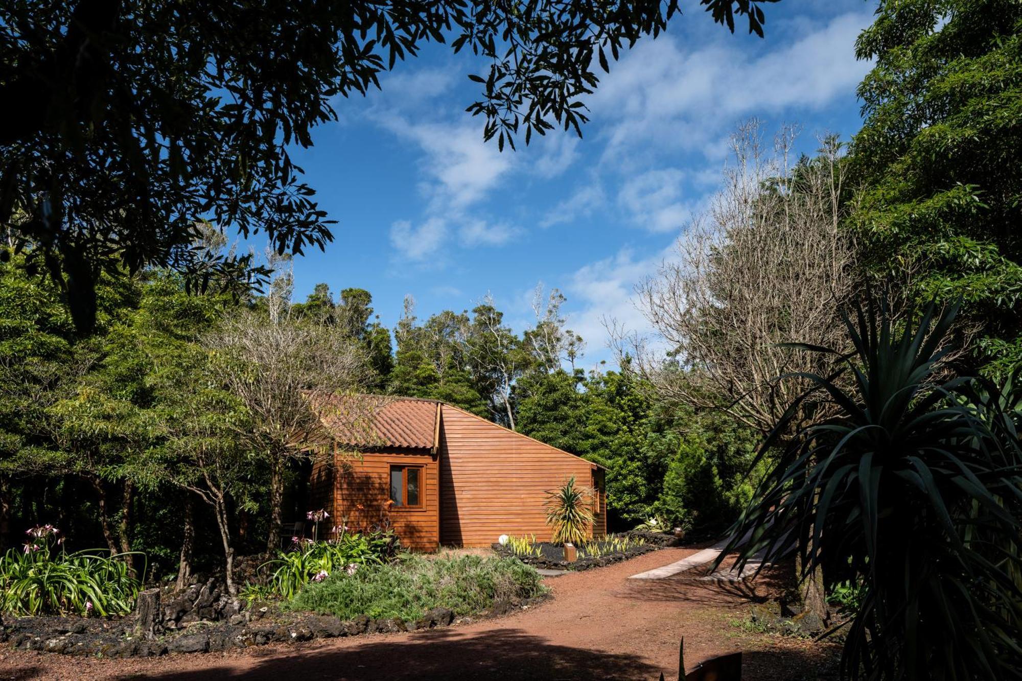 Alma Do Pico - Nature Residence Madalena  Exterior photo