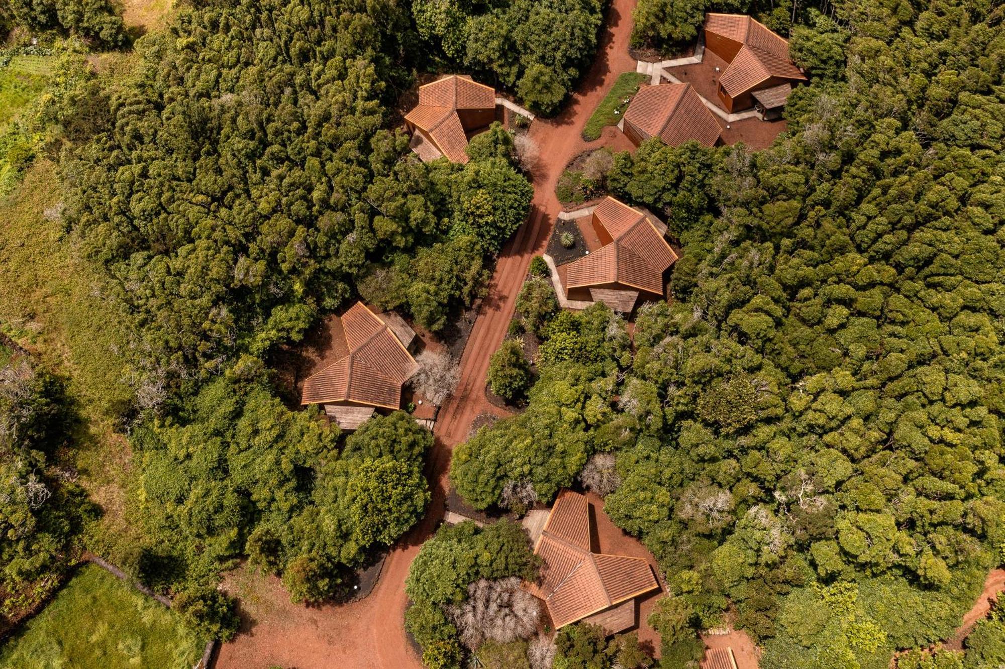 Alma Do Pico - Nature Residence Madalena  Exterior photo