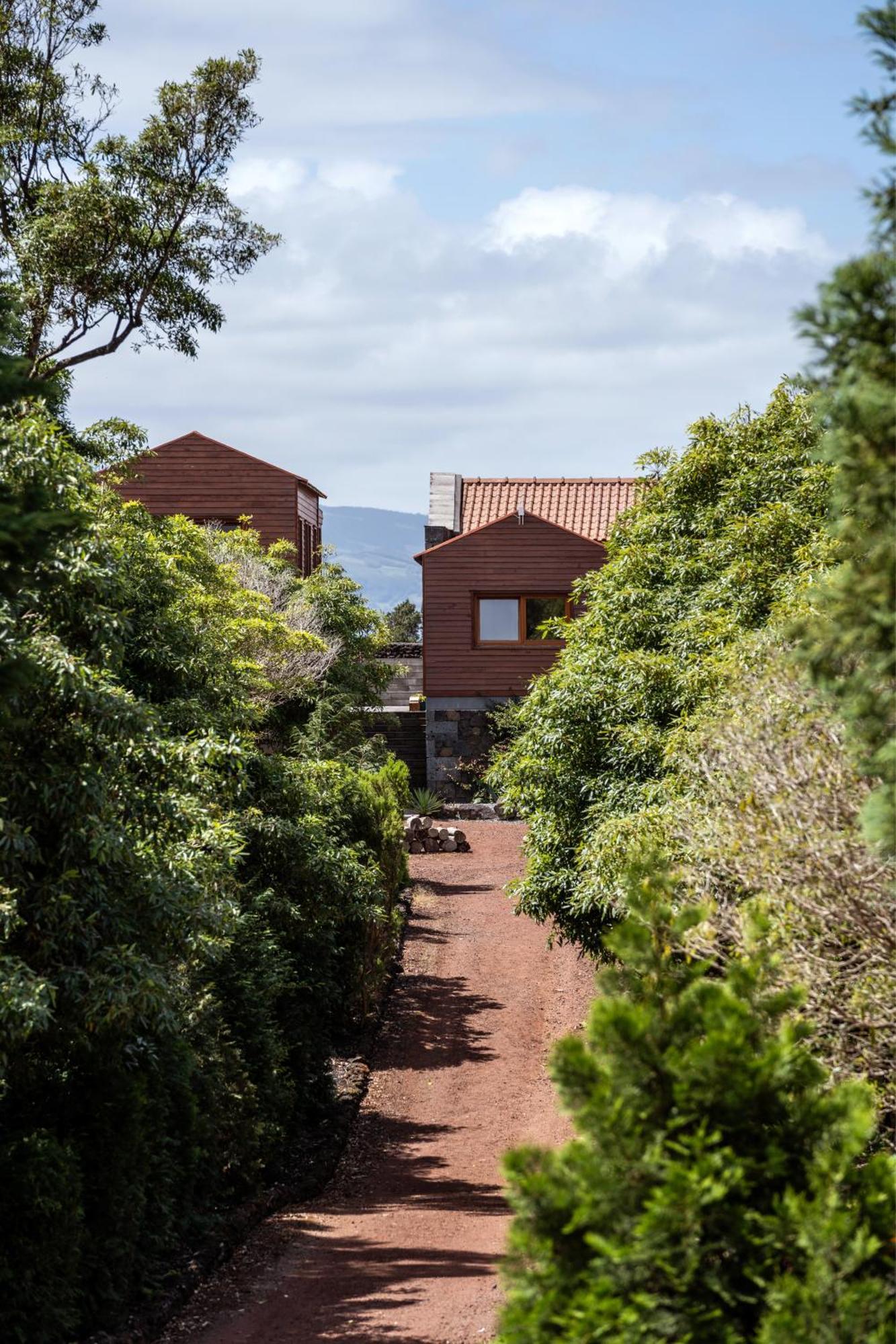 Alma Do Pico - Nature Residence Madalena  Exterior photo