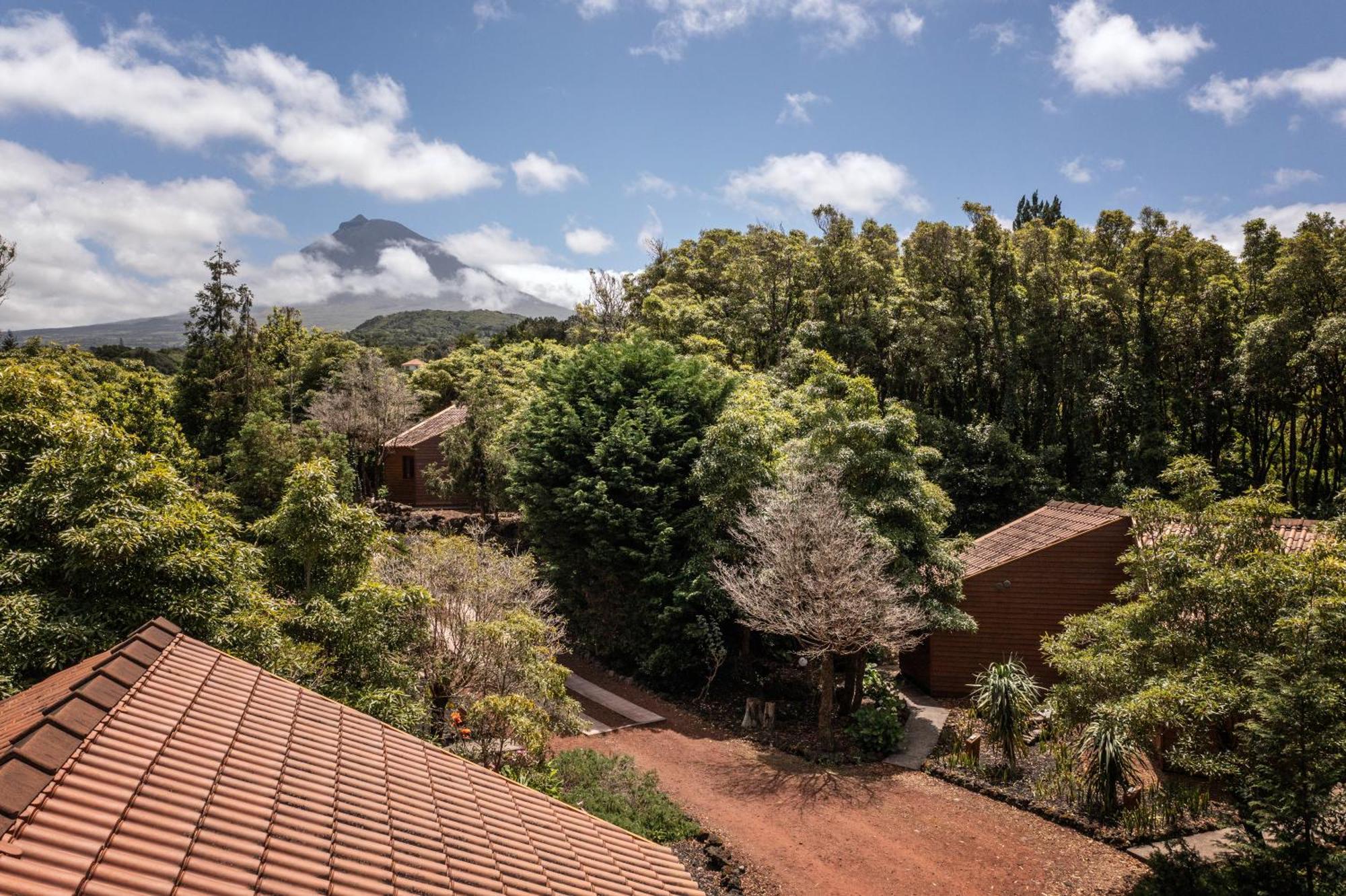 Alma Do Pico - Nature Residence Madalena  Exterior photo