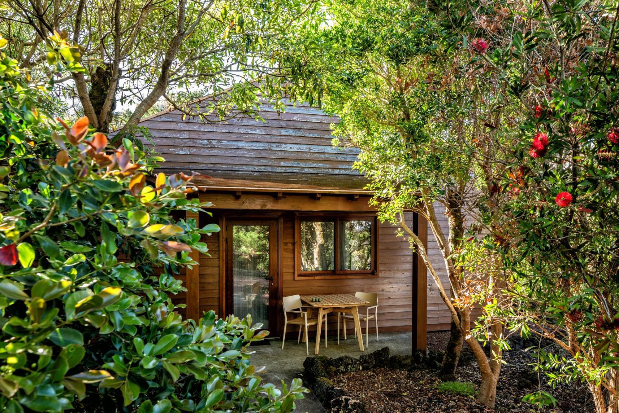 Alma Do Pico - Nature Residence Madalena  Exterior photo